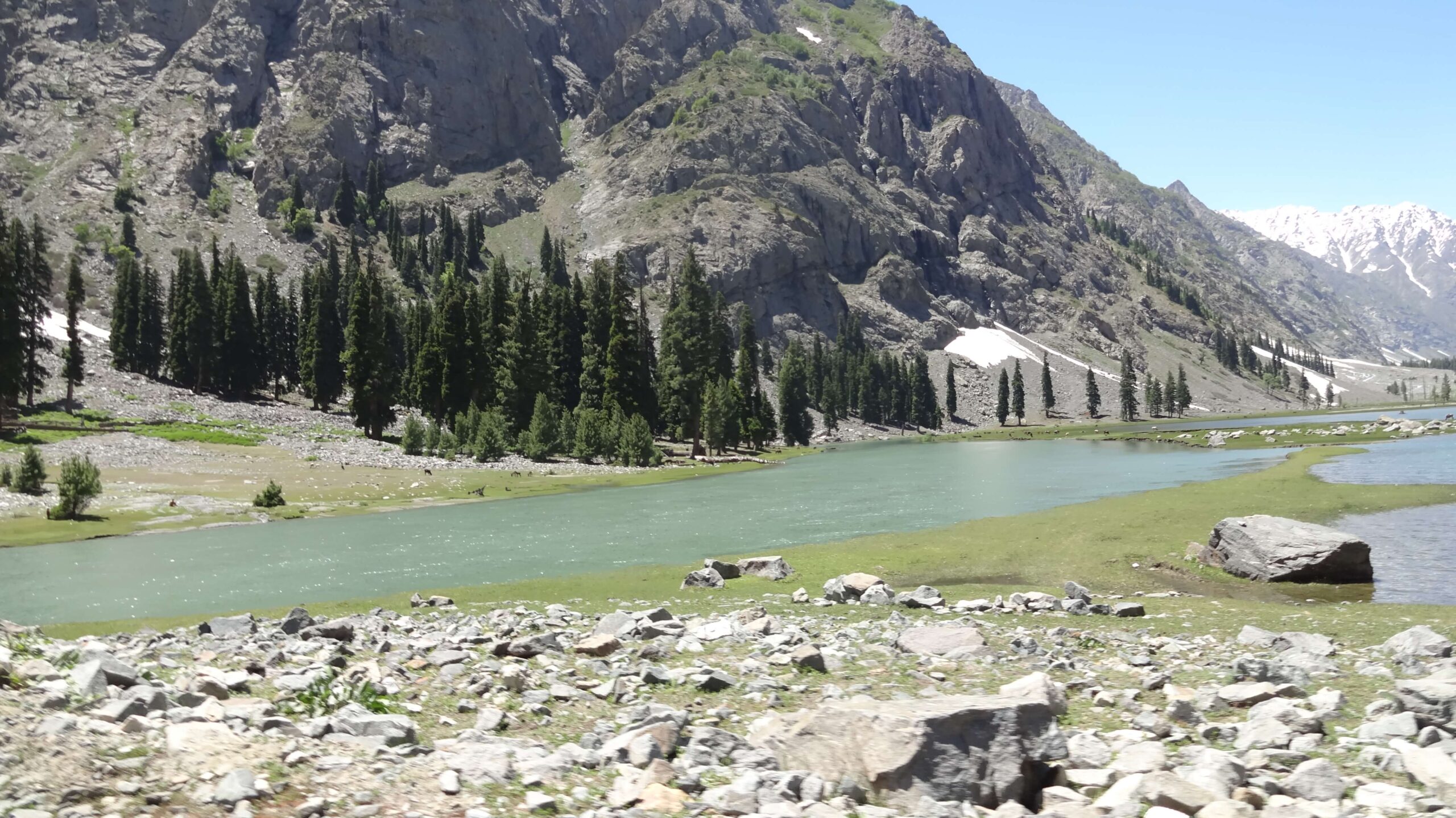 swat malam jabba miandam kalam mahodand & kumrat tour