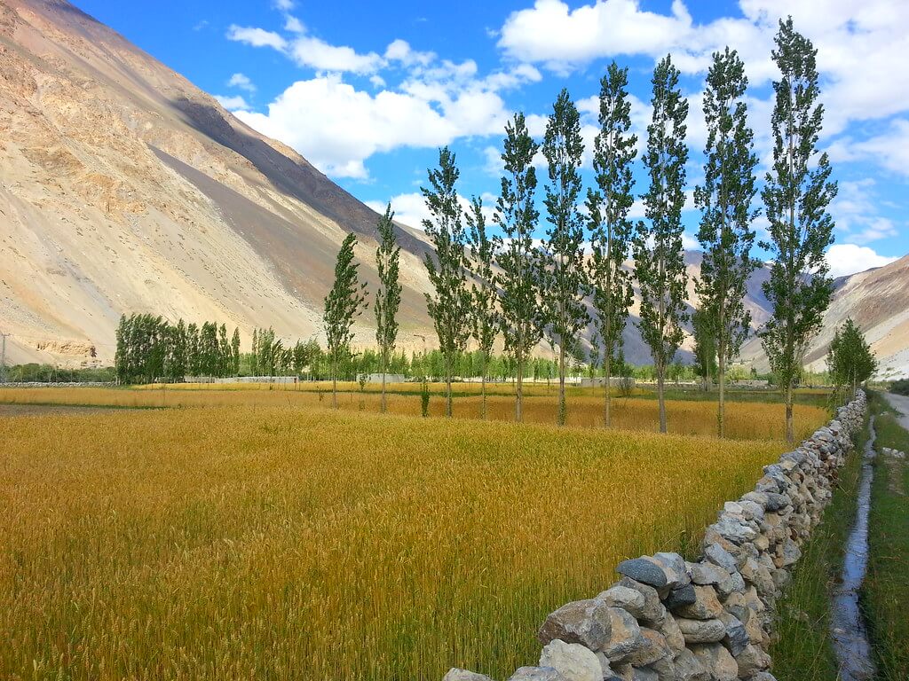 chapursan valley tour