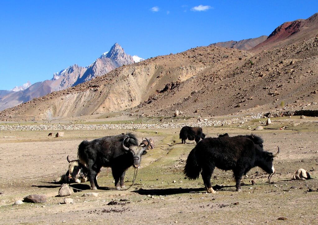 chapursan valley tour