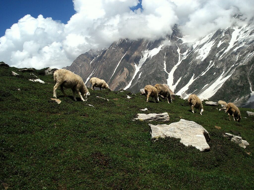 malika parbat climbing
