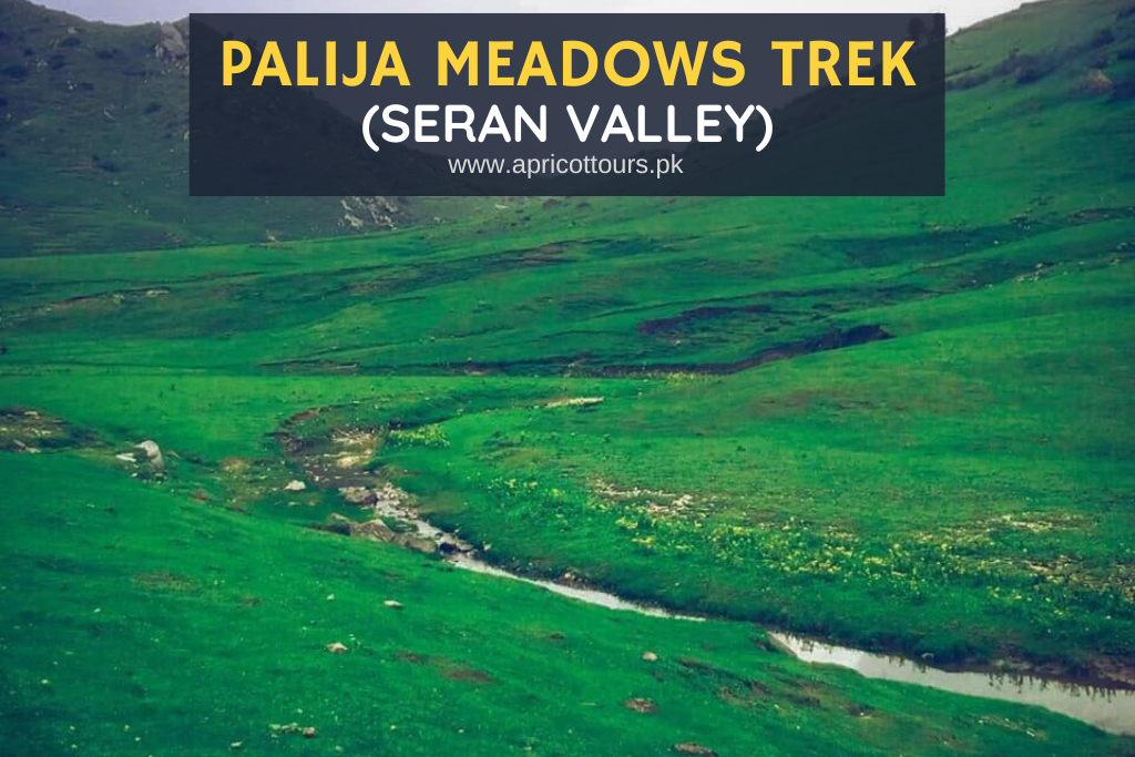 Palija Meadows Trek (Seran Valley)