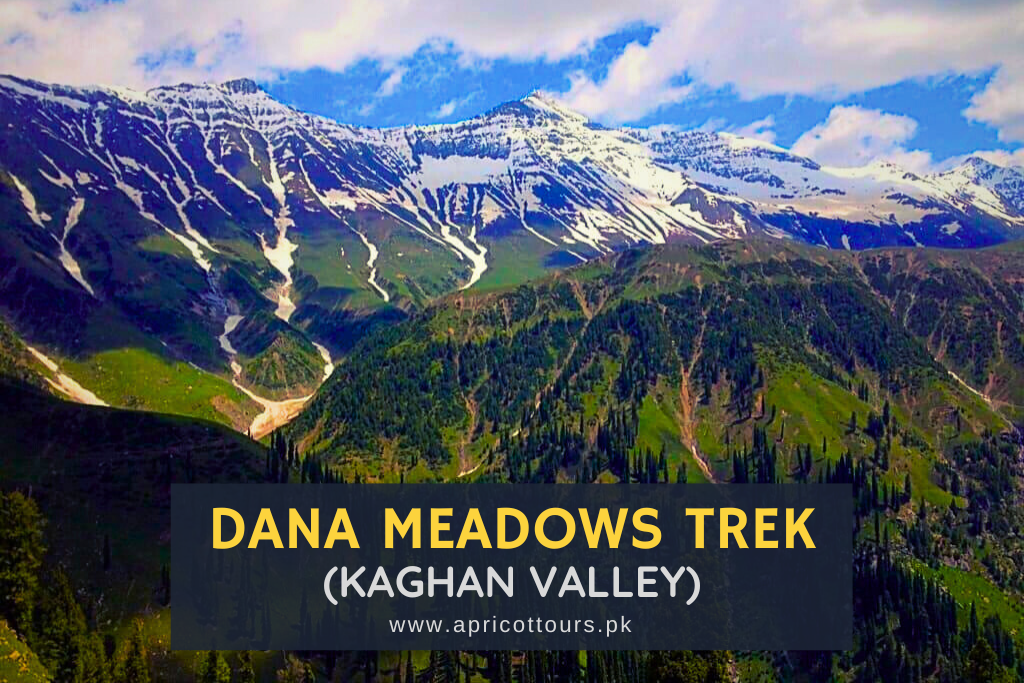Dana Meadows Trek (Kaghan Valley)