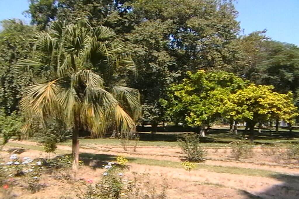 changa manga and head balloki tour