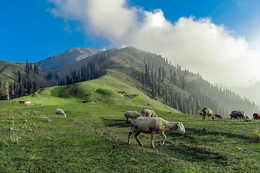 shogran siri paye tour