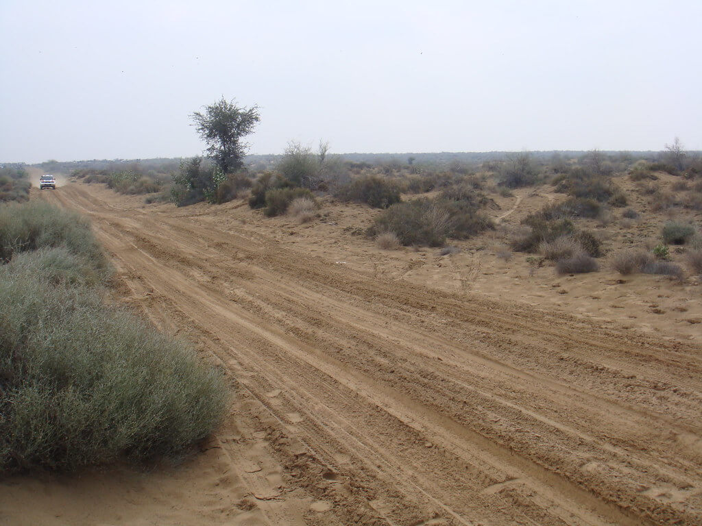 cholistan jeep rally tour