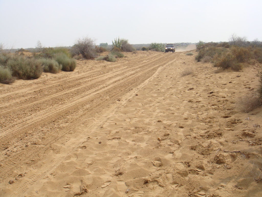 cholistan jeep rally tour