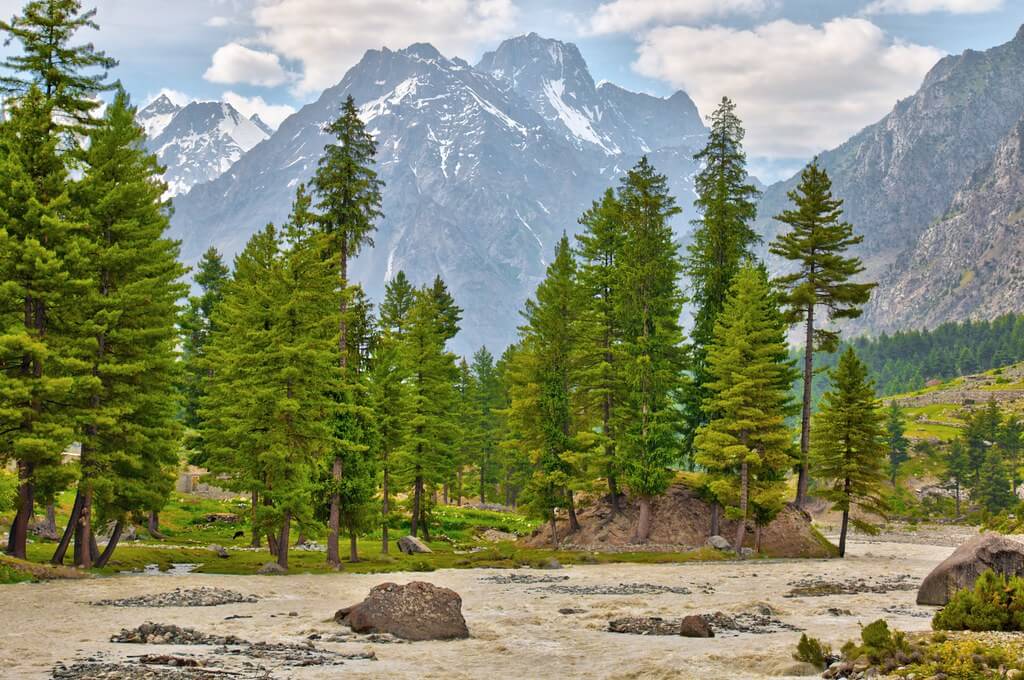 naltar valley tour