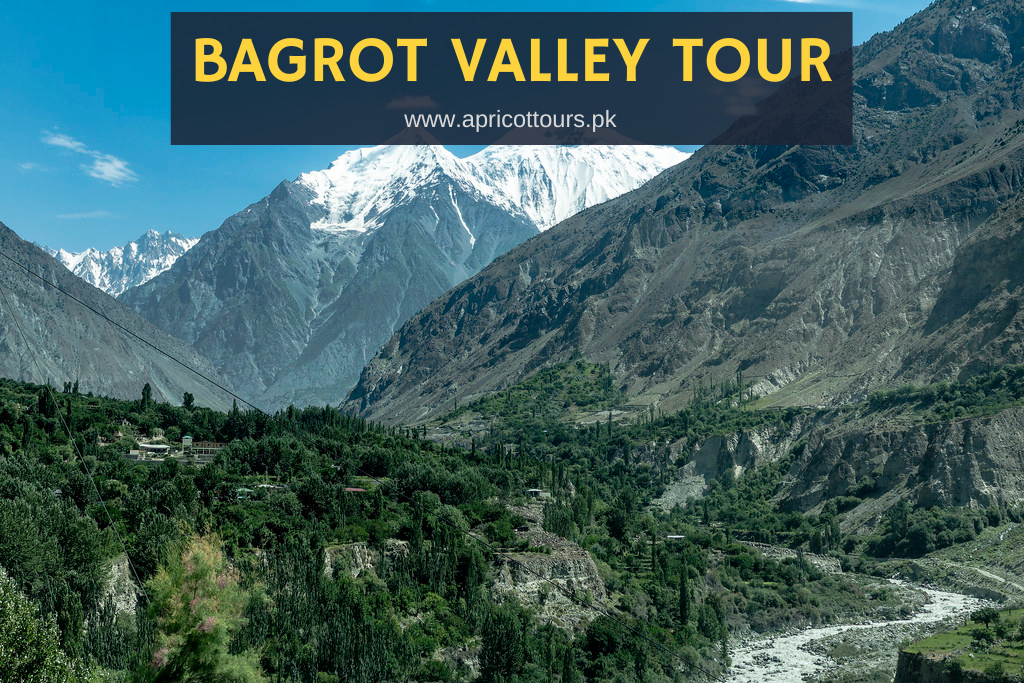 bagrot valley tour