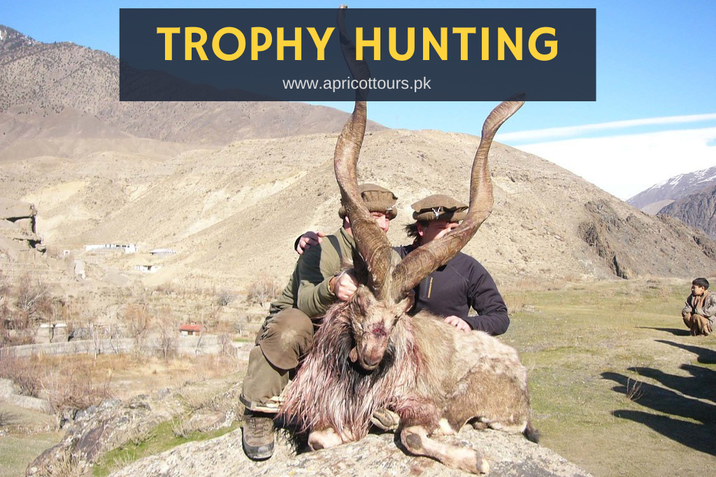 Trophy Hunting