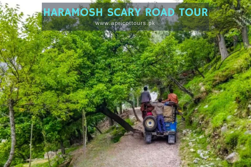 Haramosh Scary Road Tour