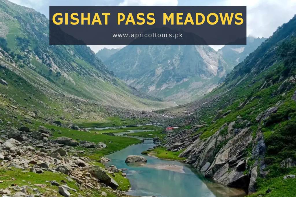 Gishat Pass Meadows