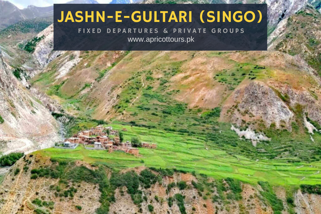 Jashn-e-Gultari (Singo)