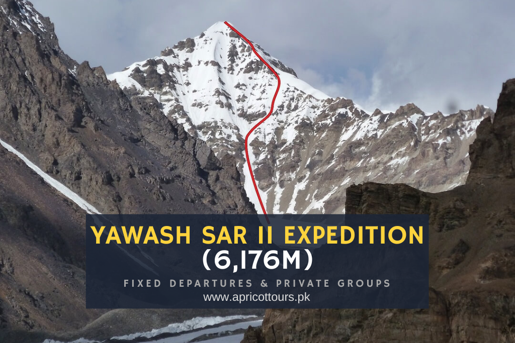 Yawash Sar II Expedition (6,176m)