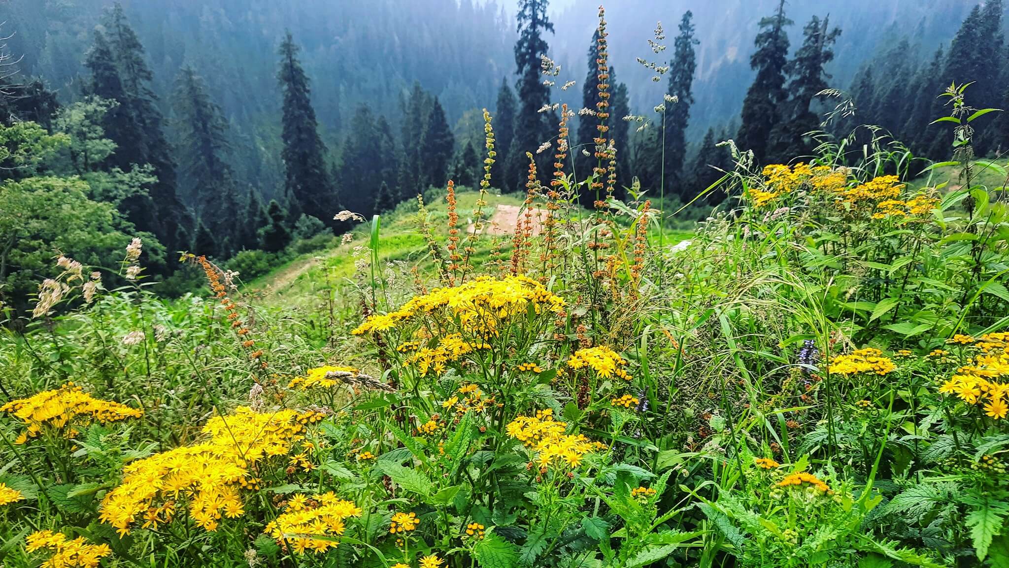 mundi siran valley tour
