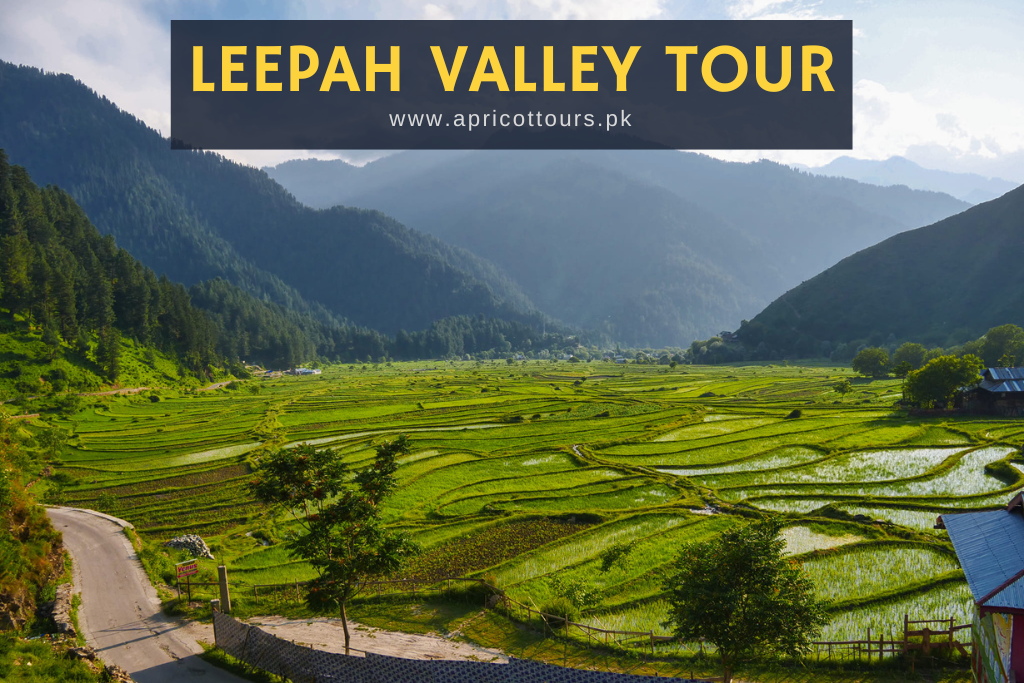 Leepah Valley Tour