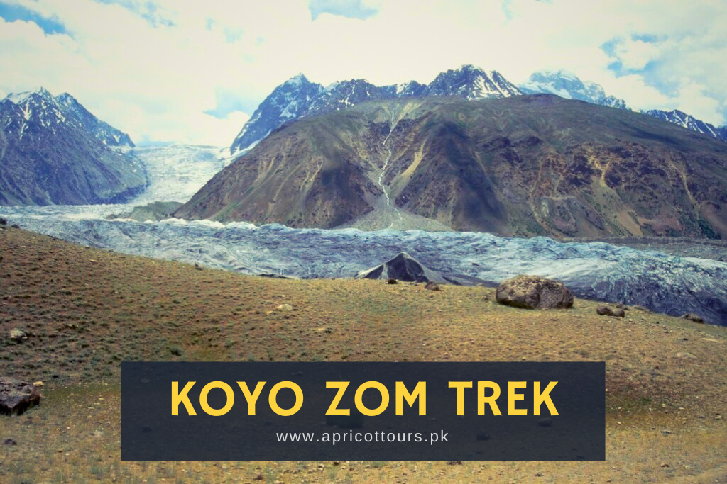 Koyo Zom Trek