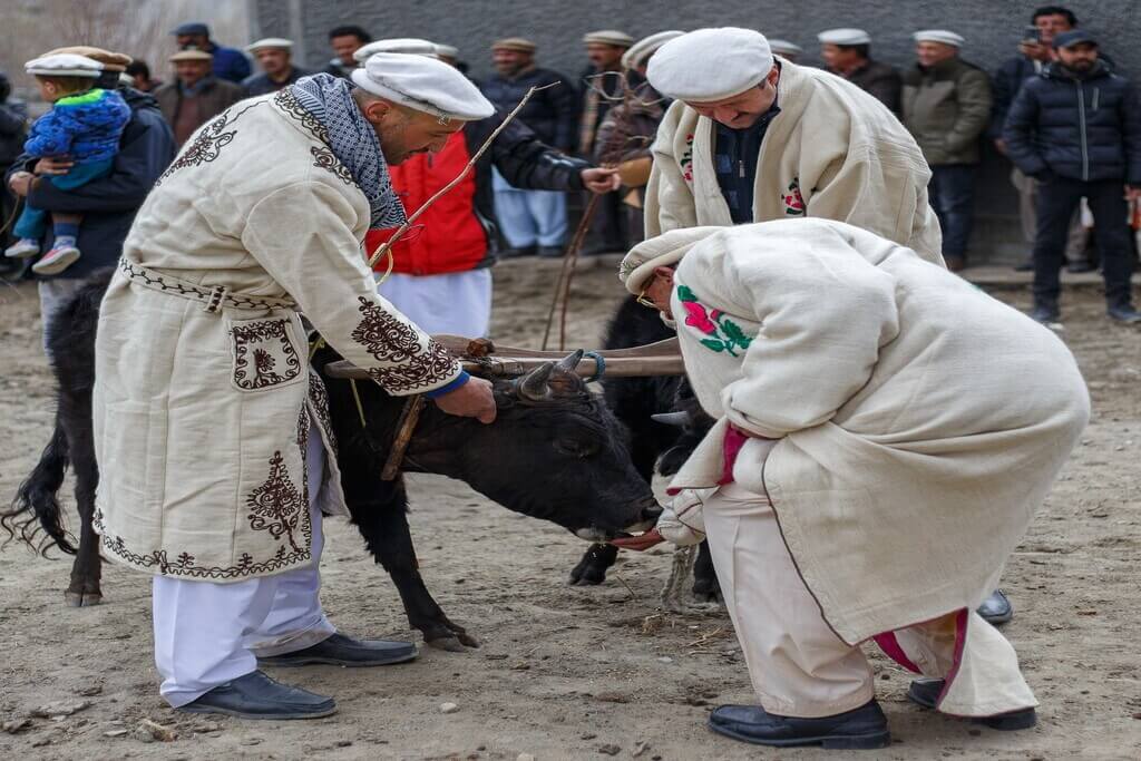 taghm (spring festival)