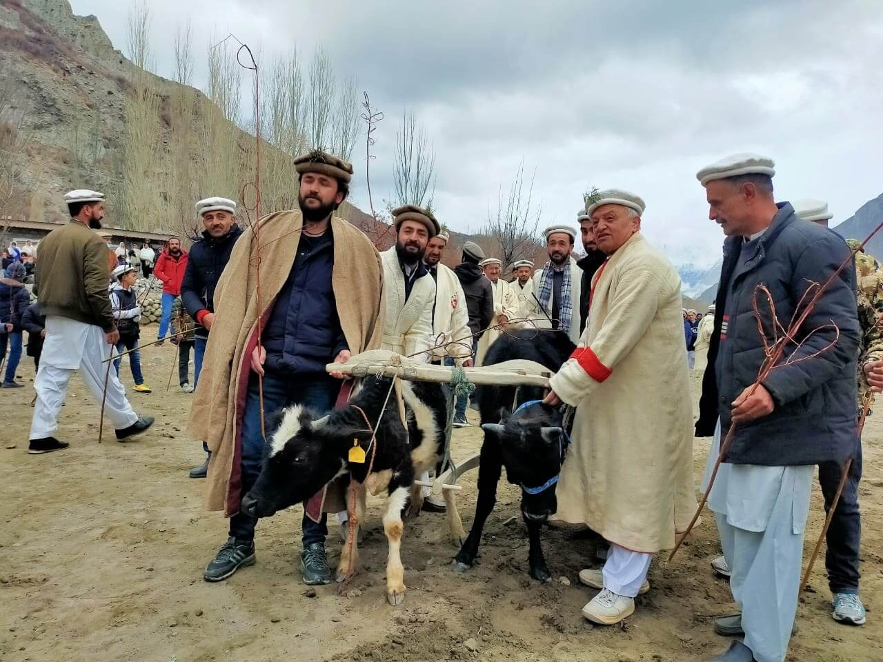 taghm (spring festival)