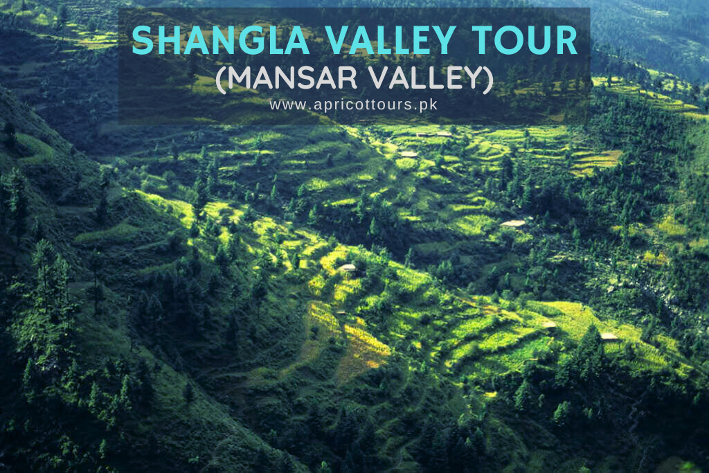 Shangla Valley Tour (Mansar Valley)