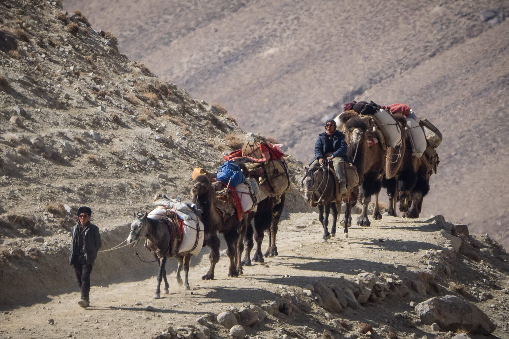 pamir camel safari