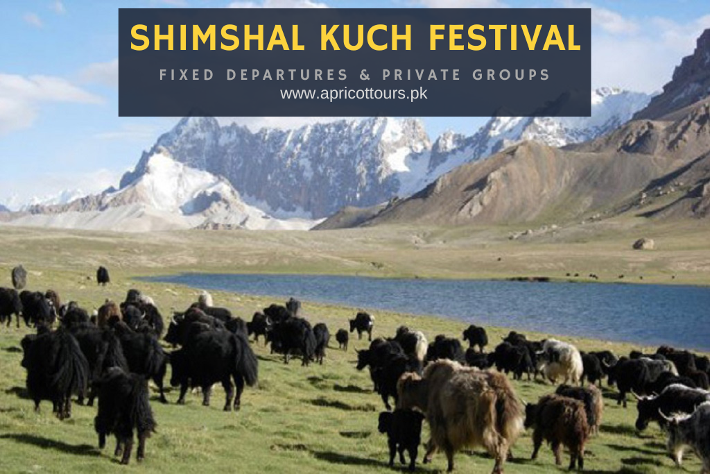 Shimshal Kuch Festival
