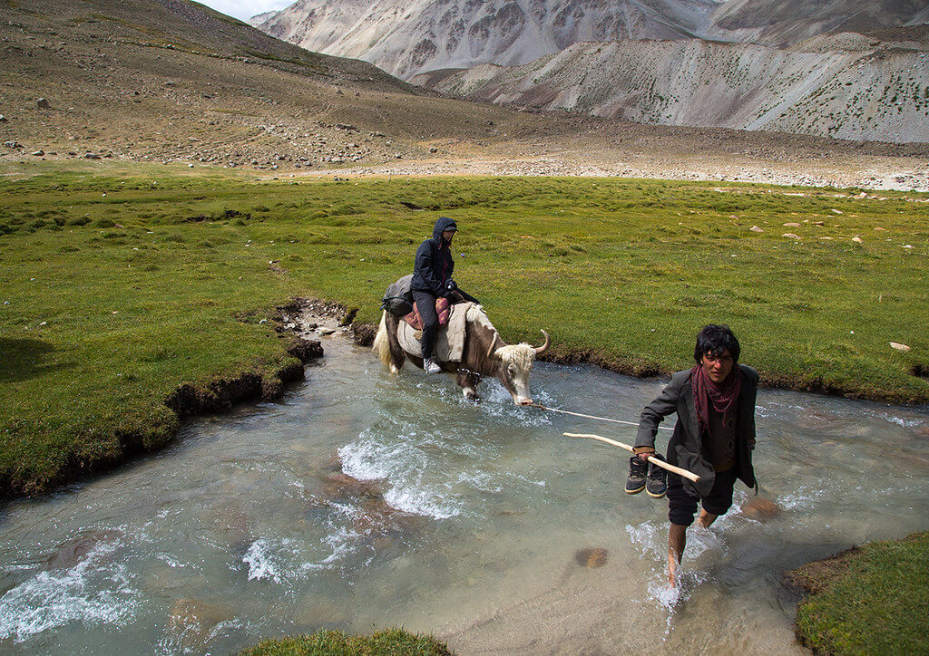 pamir yak safari