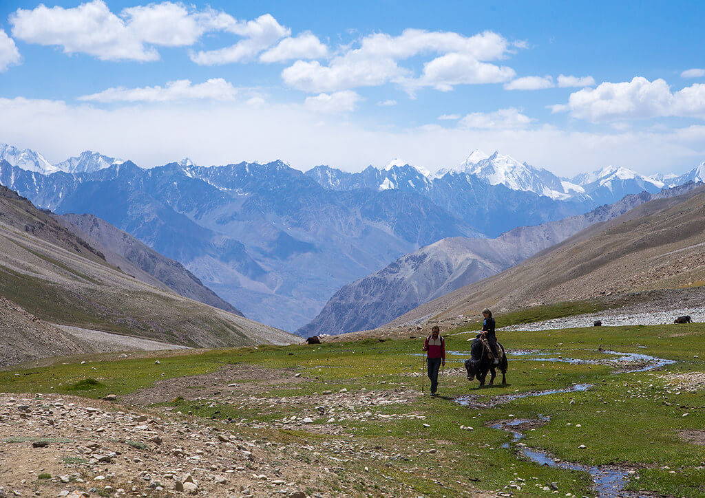 pamir yak safari