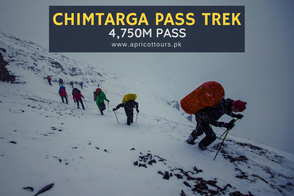 Chimtarga Pass Trek (8 Days)