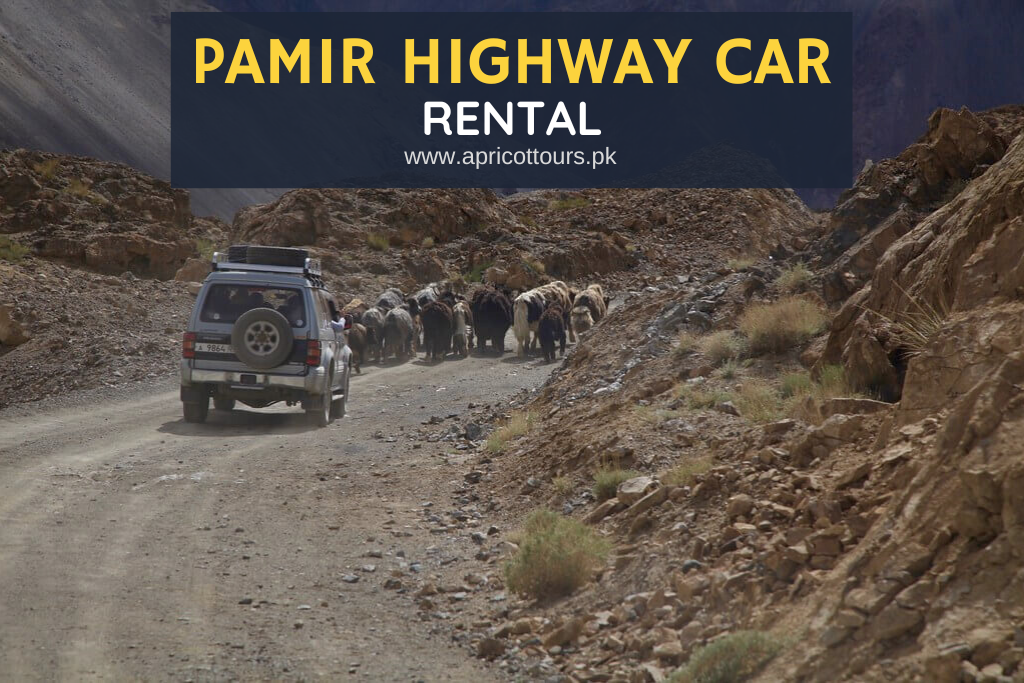 Pamir Highway Car Rental (8 Days)