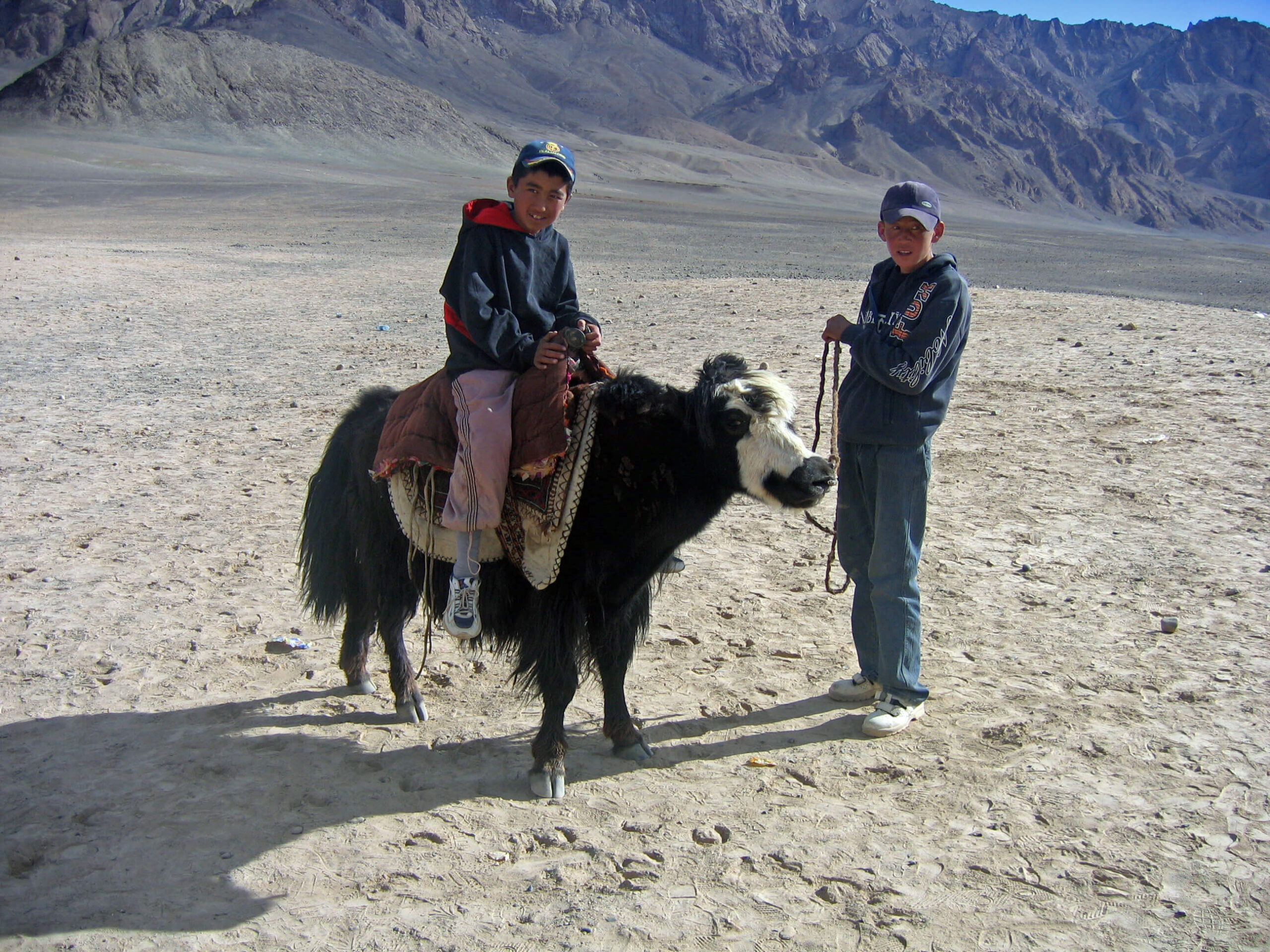 pamir yak safari