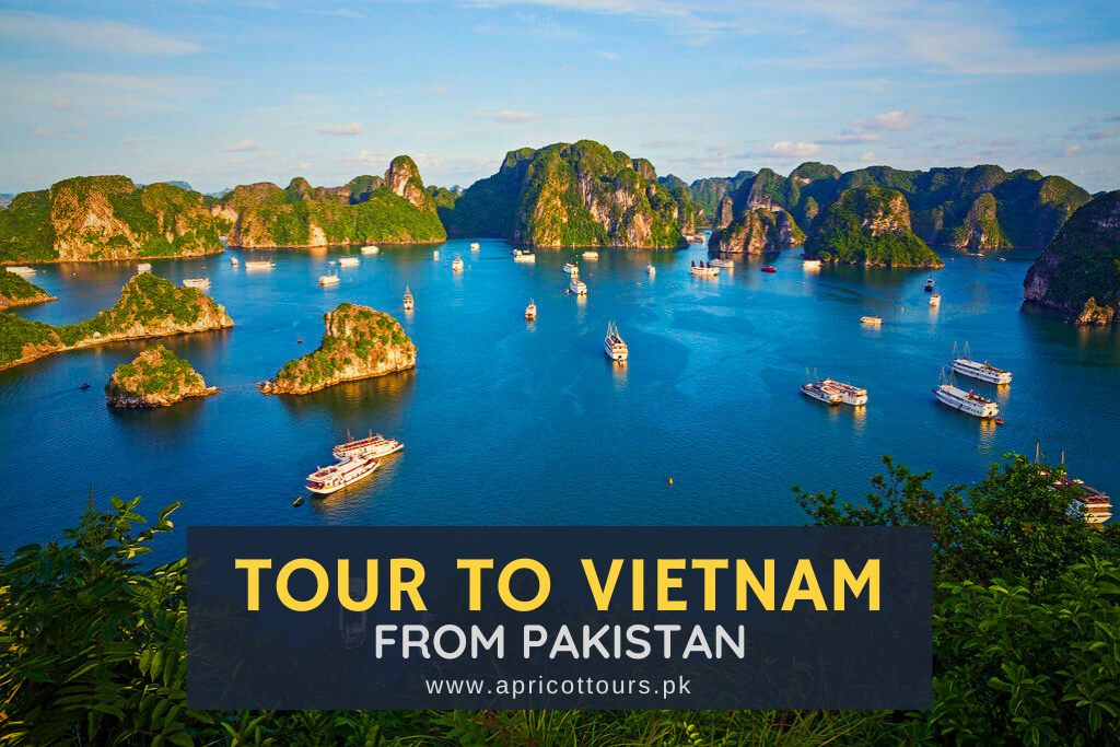 tour to vietnam from pakistan