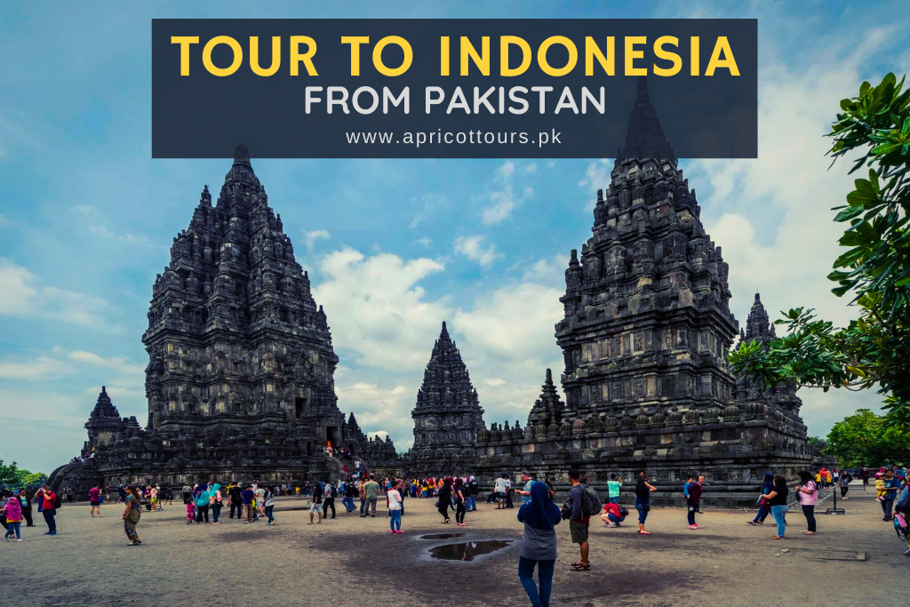 tour to indonesia from pakistan