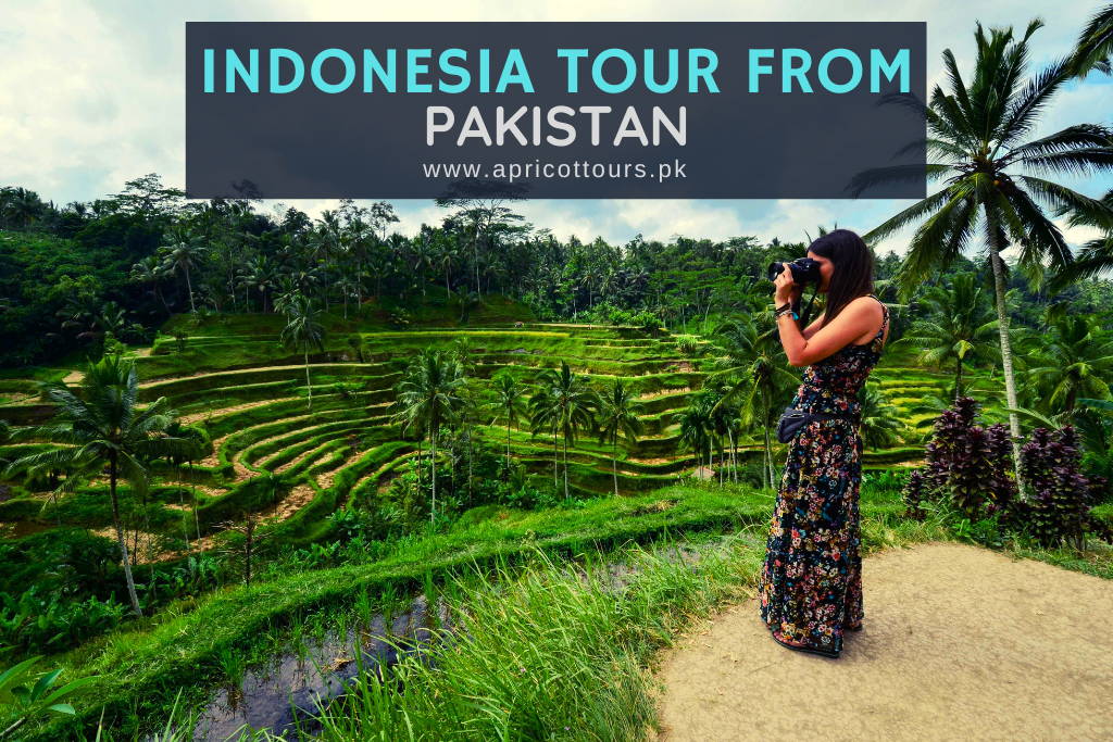indonesia tour from pakistan