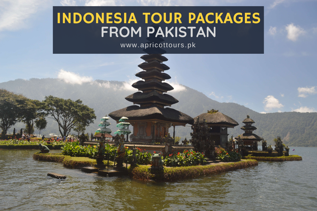 indonesia tour packages from pakistan