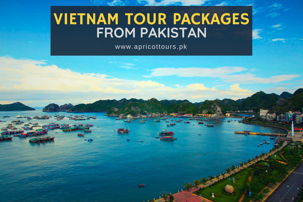 Vietnam Tour Packages from Pakistan (8 days)