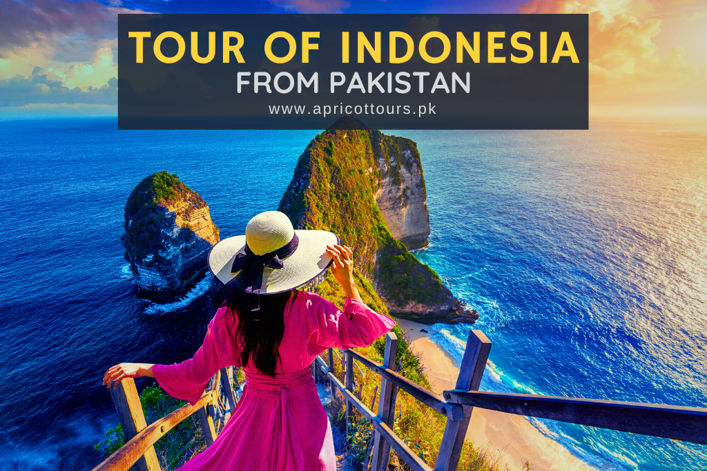 tour of indonesia from pakistan