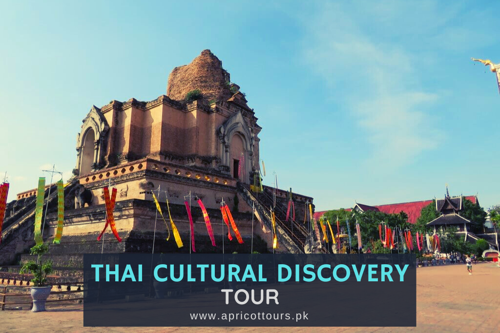 thai cultural discovery tour