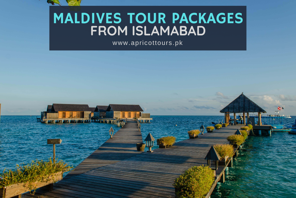 maldives tour packages from islamabad