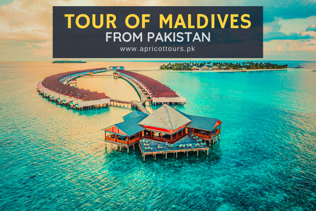 tour of maldives from pakistan