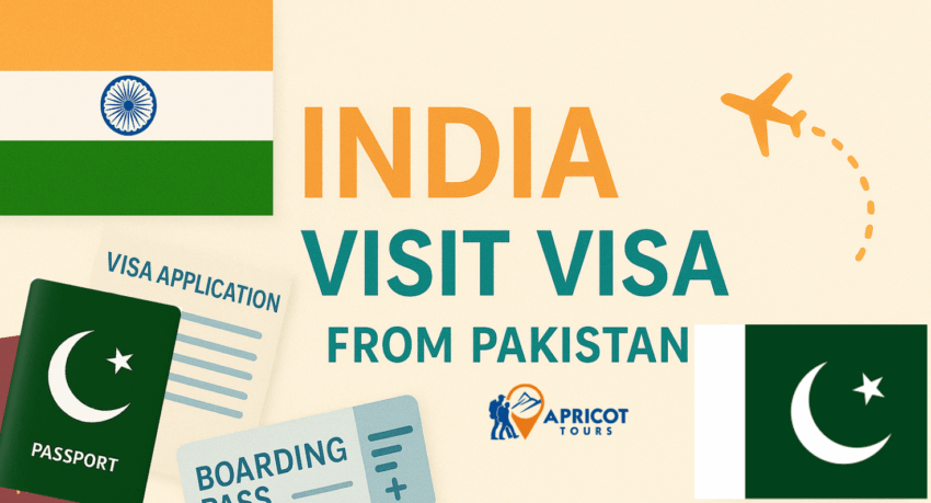 india visit visa from pakistan