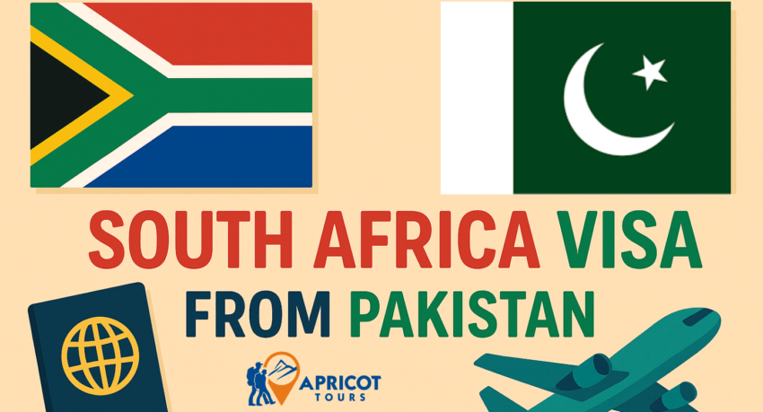 south africa visa from pakistan