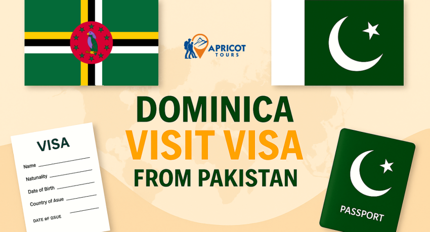 dominica visit visa from pakistan