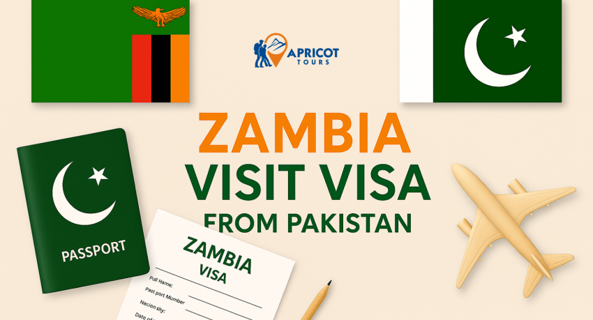 zambia visit visa from pakistan