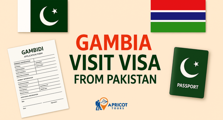 gambia visit visa from pakistan