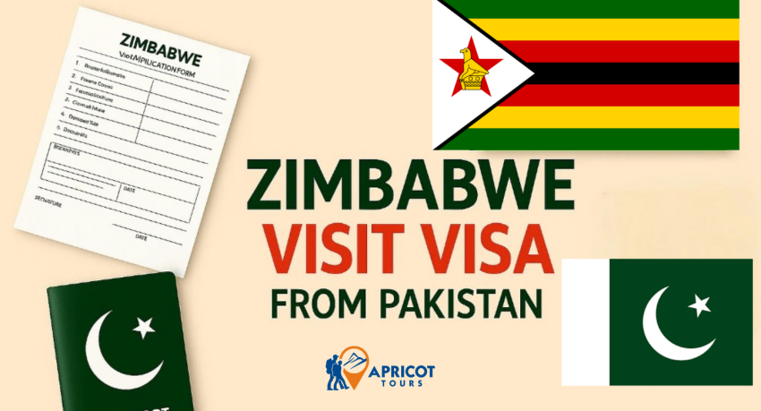 zimbabwe visit visa from pakistan