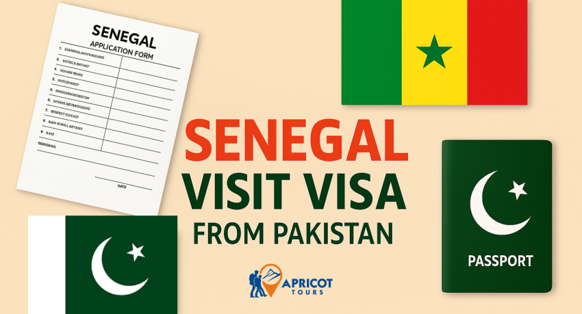 senegal visit visa from pakistan