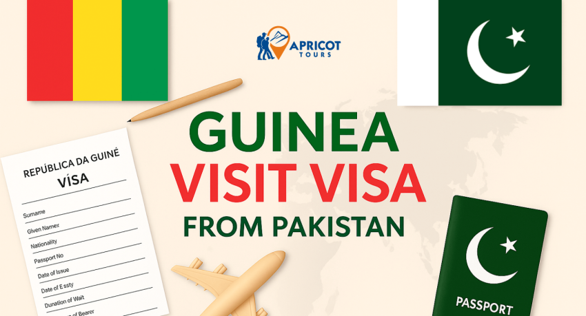 guinea visit visa from pakistan