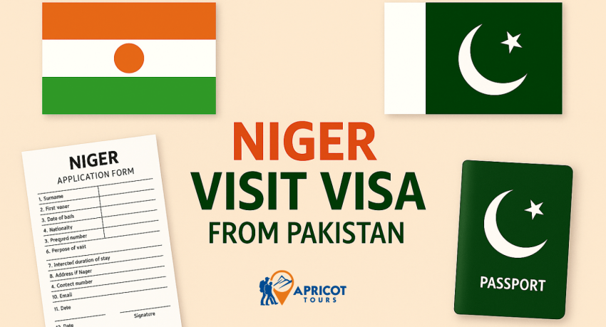 niger visit visa from pakistan