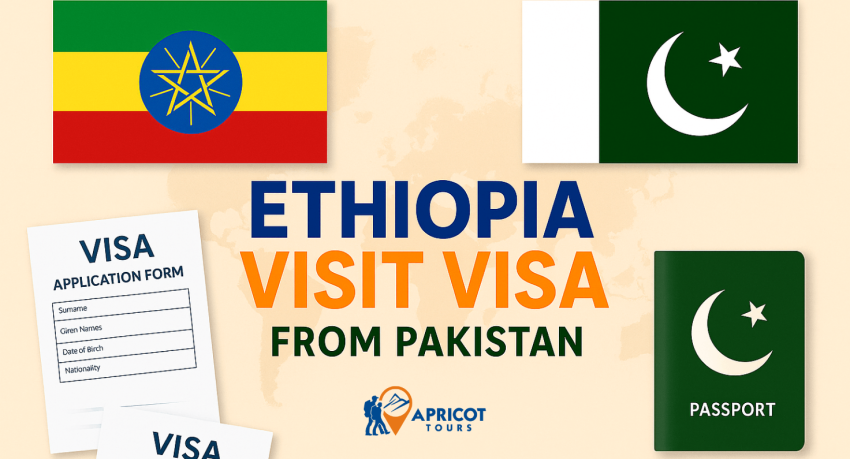 ethiopia visit visa from pakistan