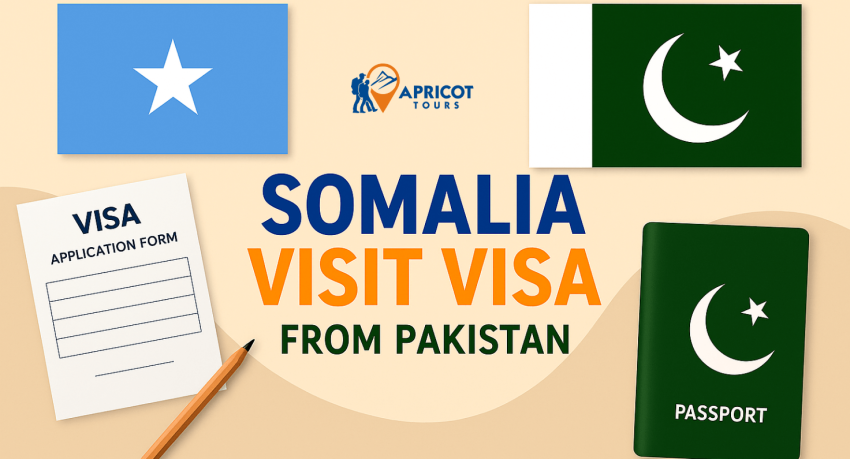 somalia visit visa from pakistan